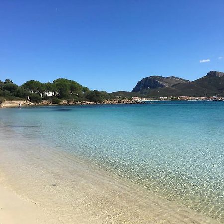 Tramontana Vista Mare 300M Dalla Spiaggia Golfo Aranci Εξωτερικό φωτογραφία